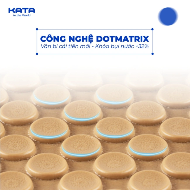 Thảm Lót Sàn Ô Tô BYD Dolphin