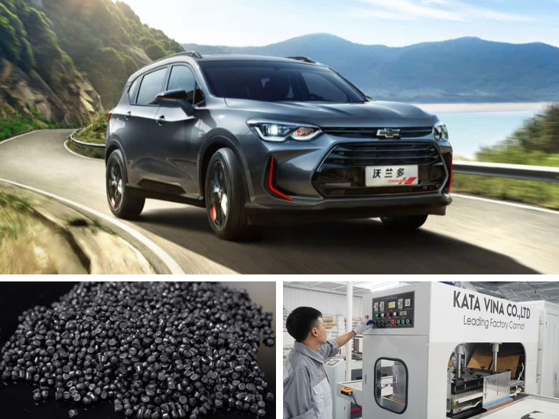 Sở hữu khả năng chống ẩm mốc, không gây mùi