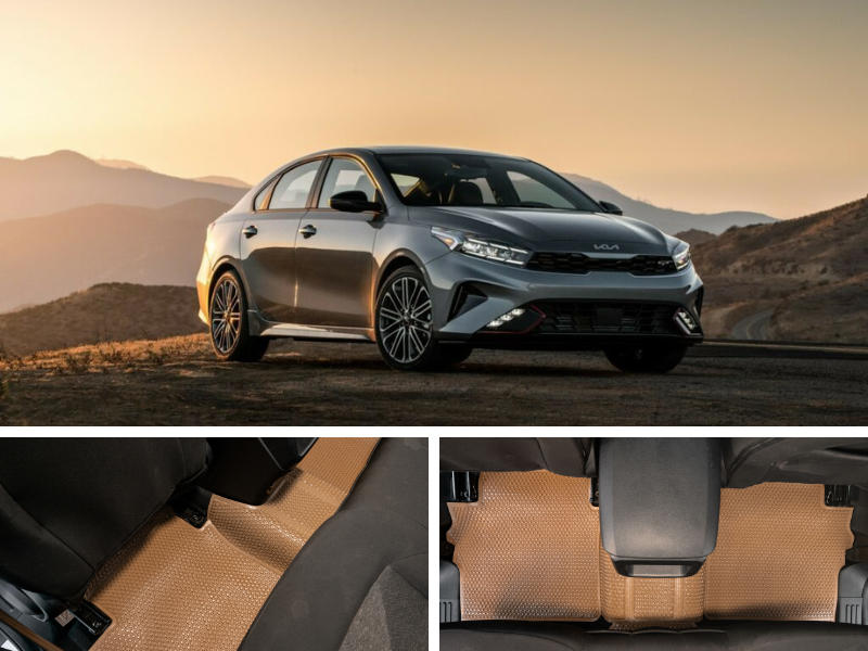 Thảm KATA màu sắc sang trọng