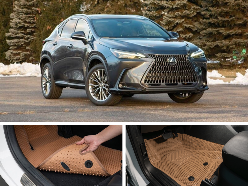 Hình ảnh mẫu thảm chất lượng nhất trên thị trường