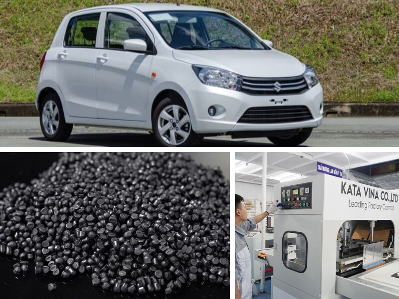 Nâng tầm đẳng cấp cho dế cưng của bạn