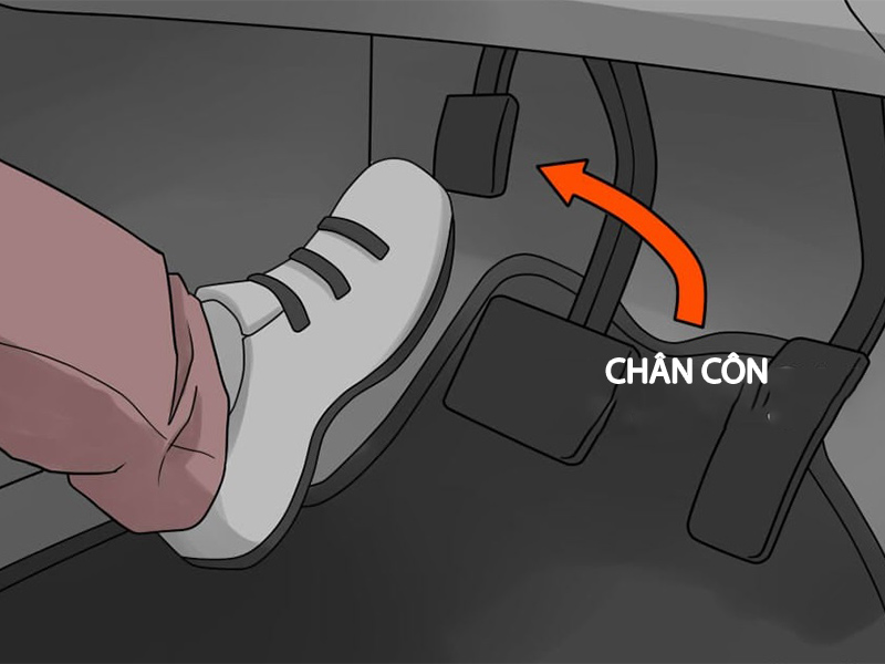Chân côn bị cao