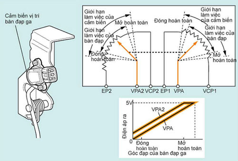 cảm biến chân ga ô tô